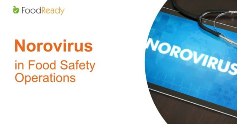 Norovirus In Food Safety Operations