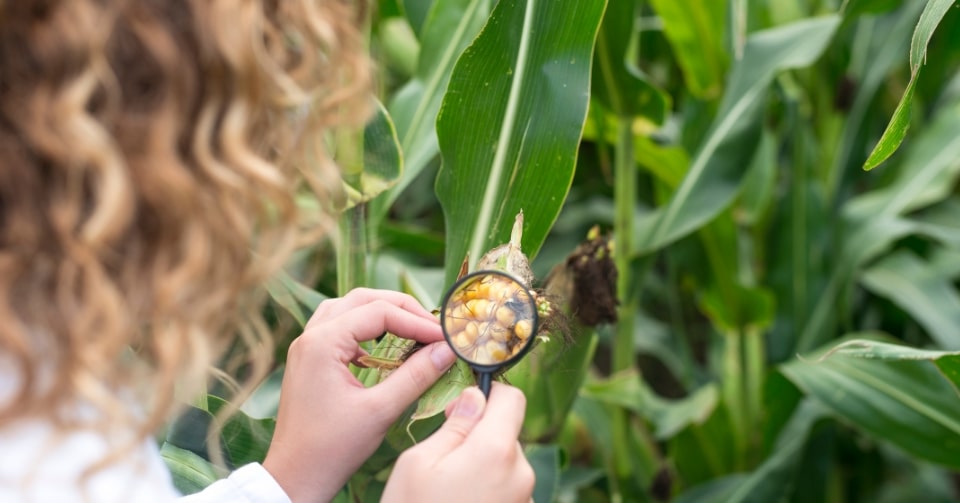 2025 Theme Food Safety – Science in Action
