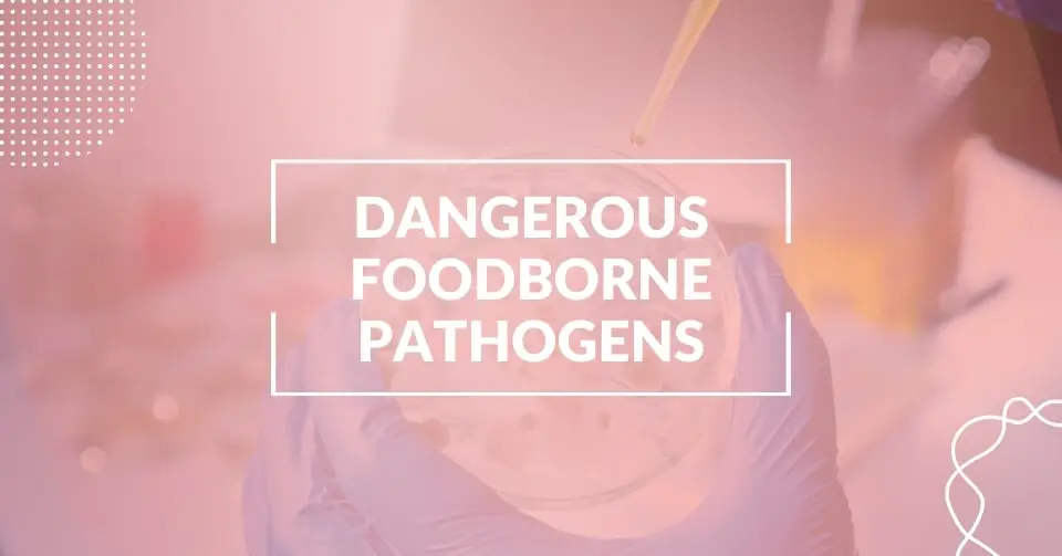 Common foodborne pathogens