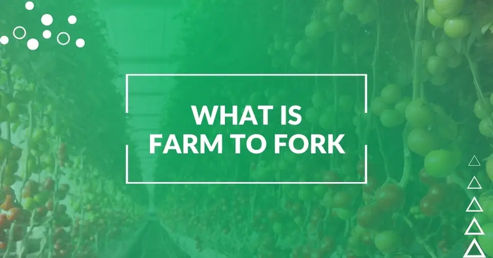 What is farm to fork