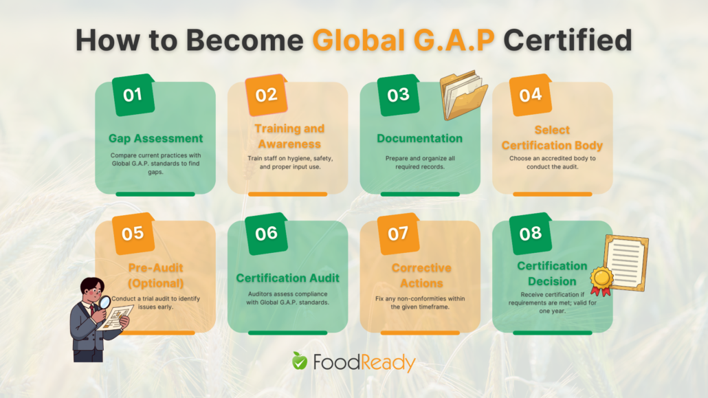 How to Become Global G.A.P Certified”showing an 8-step process: (1) Gap assessment, (2) Training and awareness, (3) Documentation, (4) Select certification body, (5) Optional pre-audit, (6) Certification audit, (7) Corrective actions, and (8) Certification decision. Each step appears in a colored box with brief descriptions. FoodReady logo at the bottom.