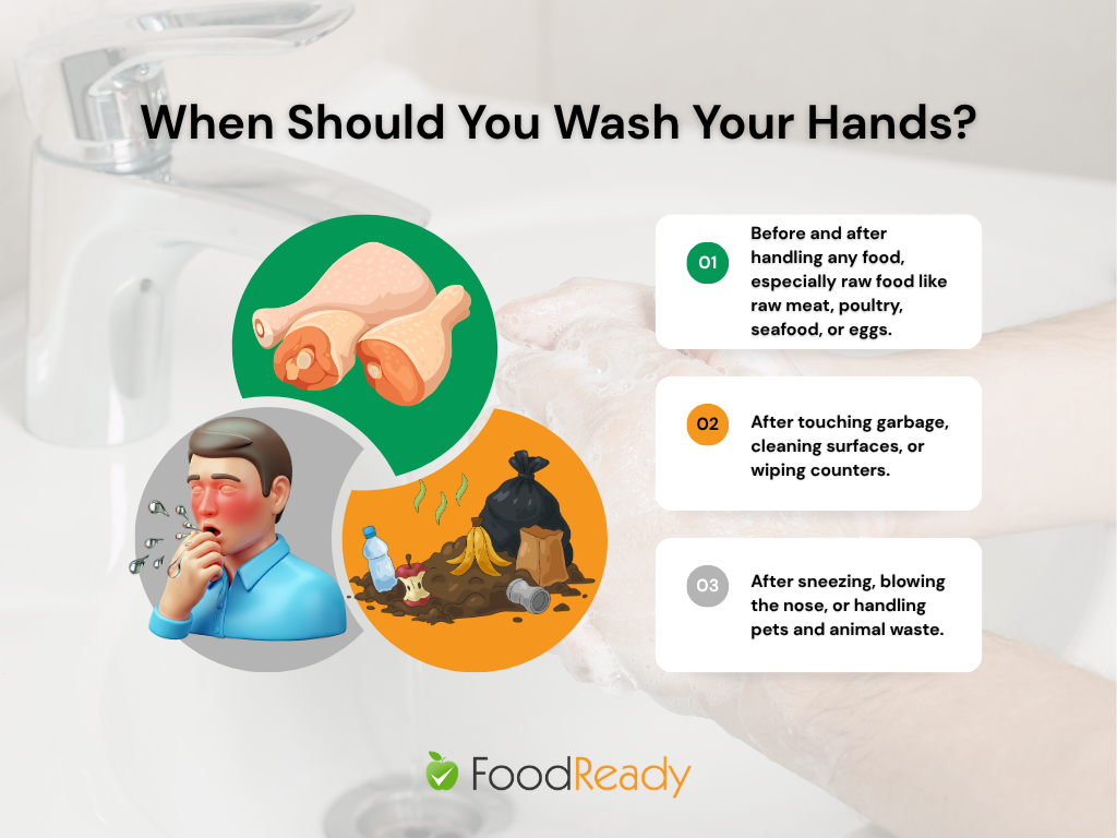 Food safety hand washing infographic showing when to wash hands: before and after handling food (raw meat, poultry, seafood, eggs), after touching garbage or cleaning surfaces, and after sneezing or handling animal waste, with visual icons and FoodReady branding.