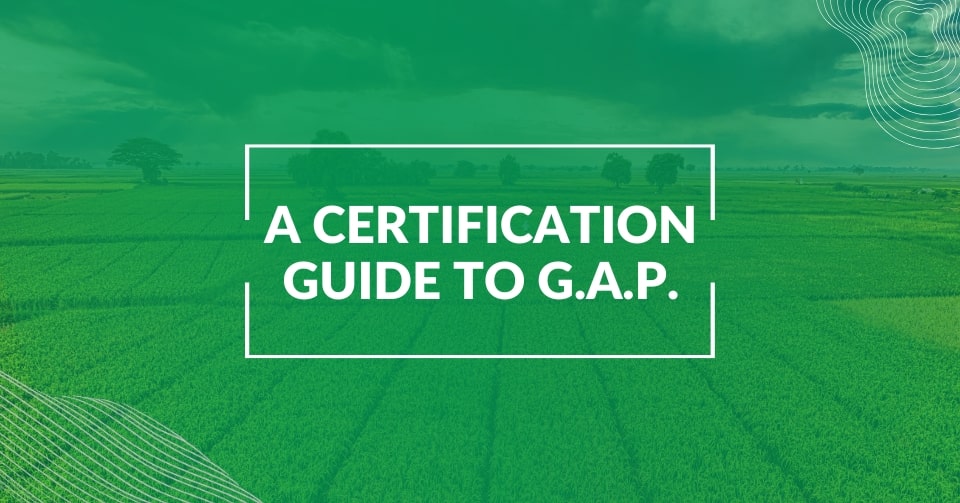G.A.P. certification guide