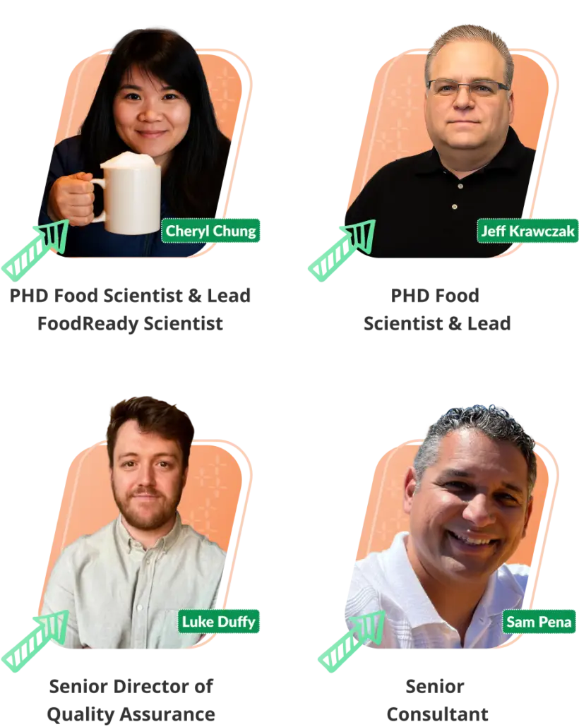 Expert consulting team