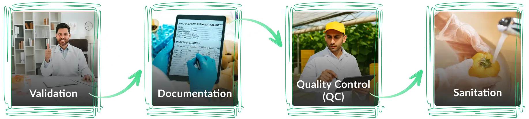 Implementing GMP certification program