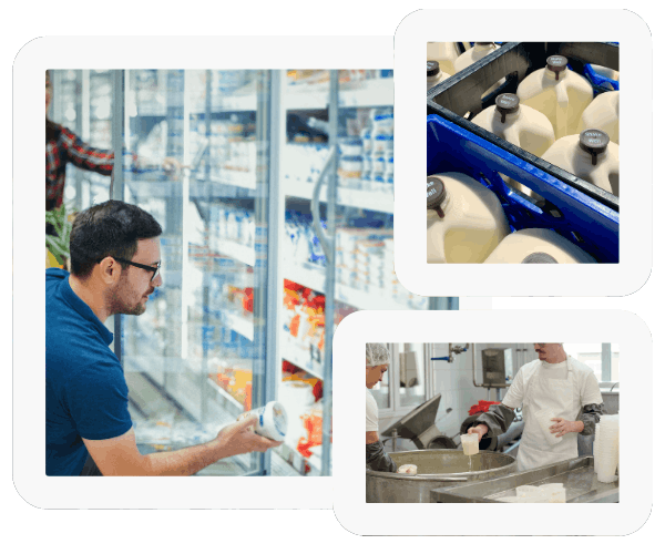 Dairy processors and retailers selling packaged dairy