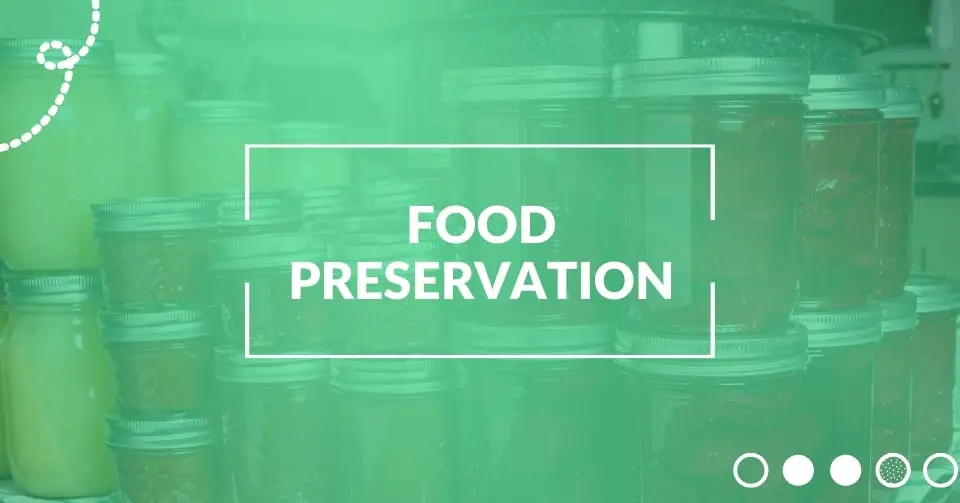 Food preservation methods