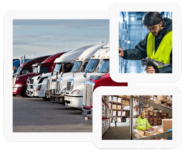 Food transportation, logistic companies and warehouses
