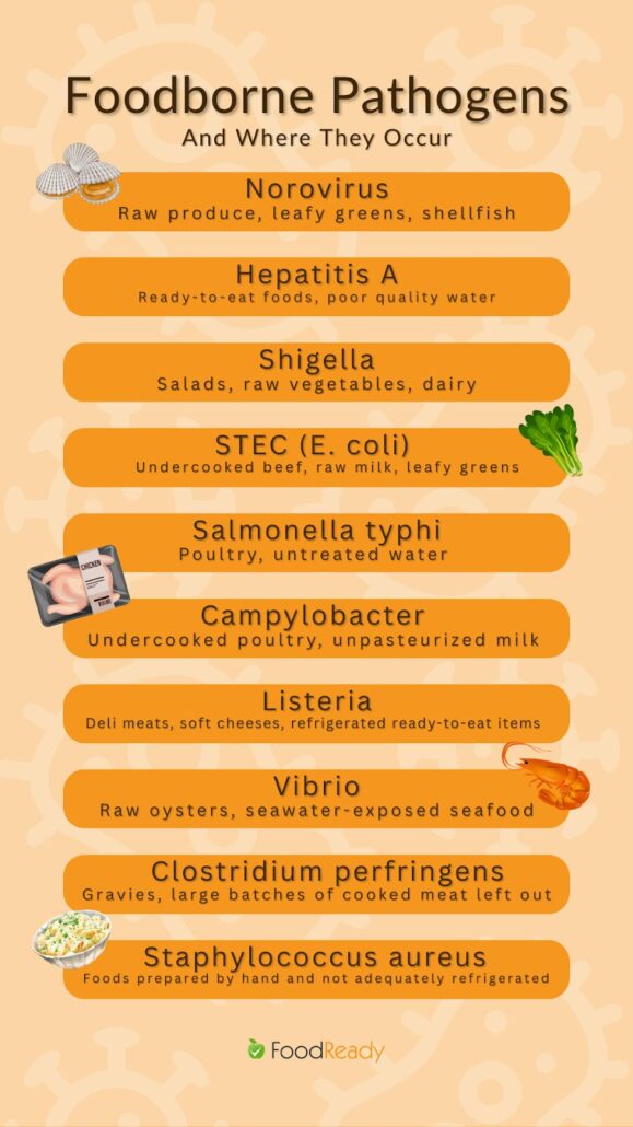 Foodborne pathogens and where they occur - infographic