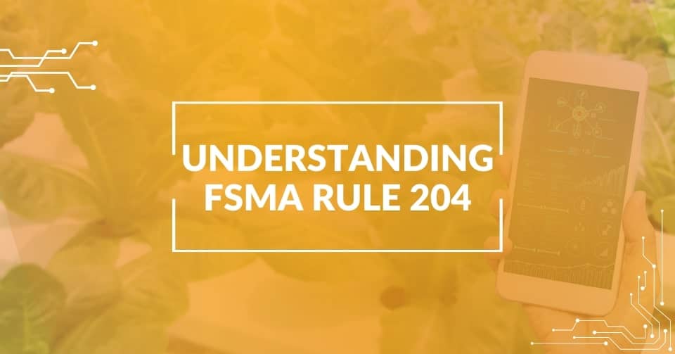 What is FSMA 204