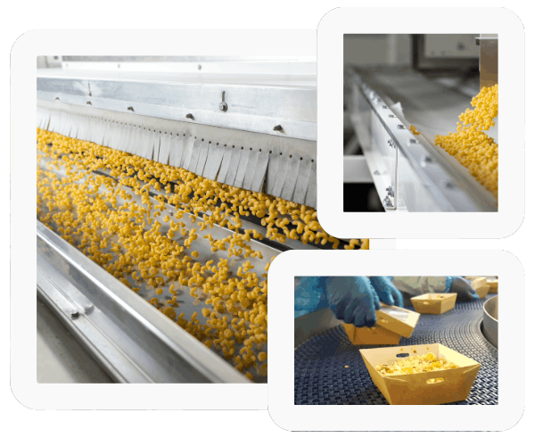 Pasta manufacturers and artisanal pasta makers