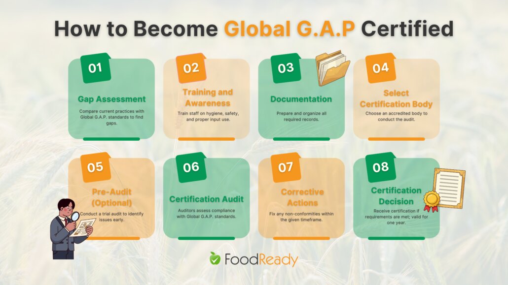 Steps to get Global G.A.P certified infographic