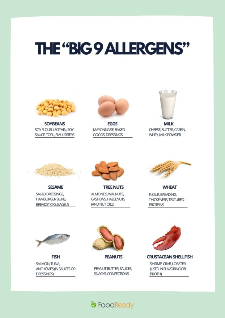 The big nine allergens - grahpic