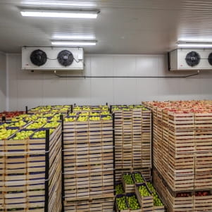 Warehouse fruits