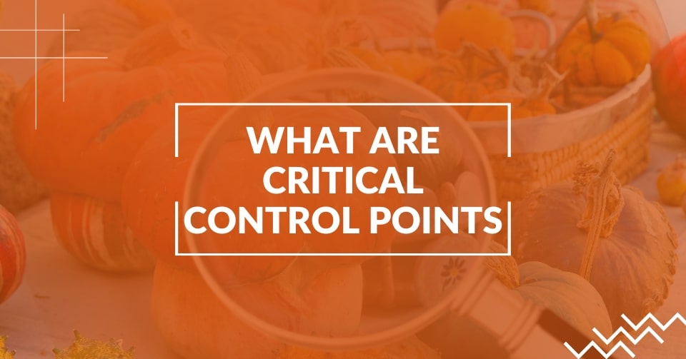What are critical control points (CCPs) in HACCP