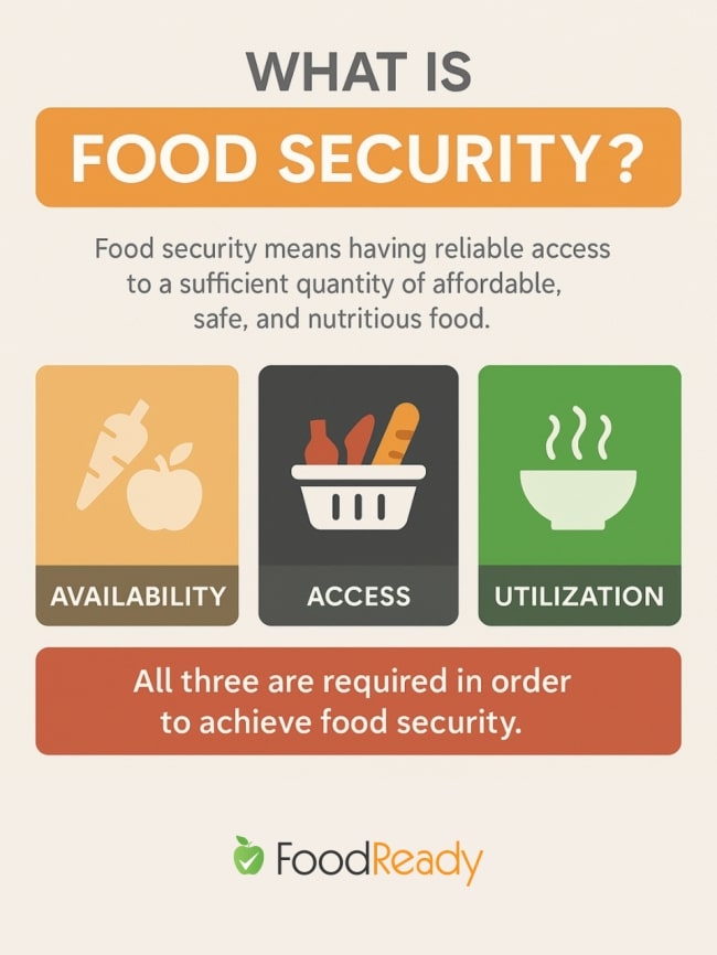What is food security - infographic