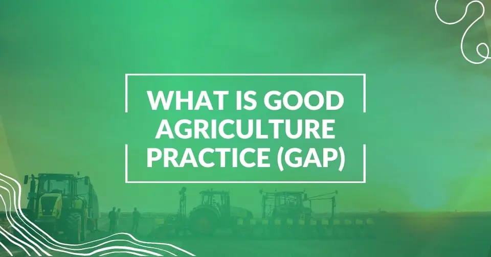 What is Good Agriculture Practice (GAP)