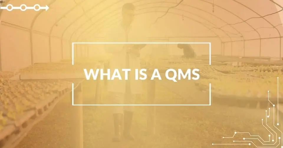 What is a Quality Management System (QMS)