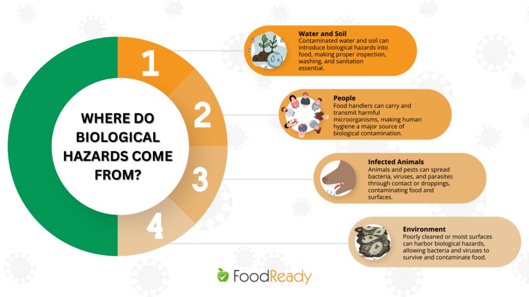 Where do biological hazards come from - graphic