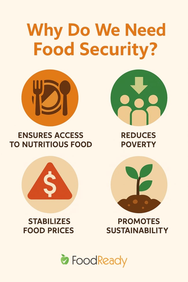 Why do we need food security infographic -infographic