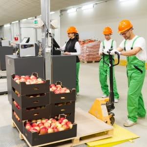 Workers in a warehouse