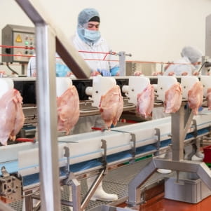 Workers in meat factory